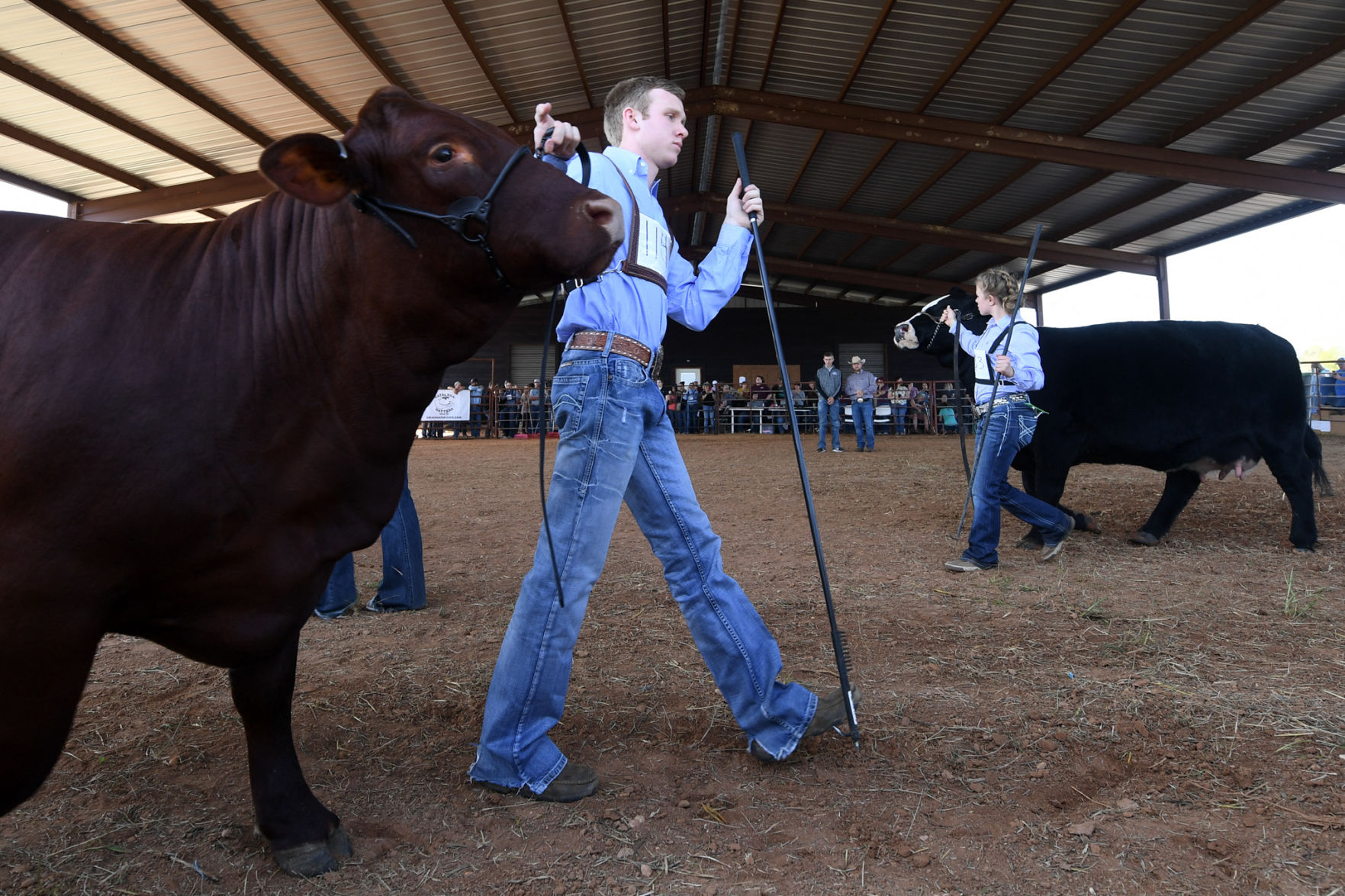 BTHO Coronavirus show